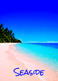 Seaside THEME 49