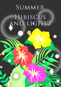 Summer<Hibiscus and light2>