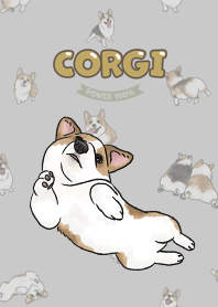 corgicorgi8 / grey