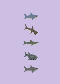 小小的鯊魚們(浪漫紫色)