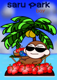 monkeypark boy