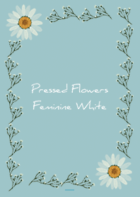 Blue : Feminine pressed flowers