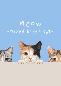 Meow - Mixed breed cat 01 - SKY BLUE