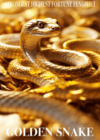 Golden snake  Lucky 44
