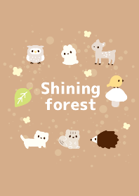 Shining forest!!