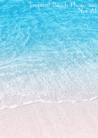 TropicalBeach Photo 350 Not AI
