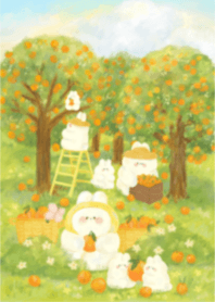 chubby in the garden