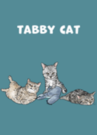 tabbycat5 / neil blue