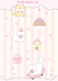Small house cat