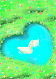 Ducks & Daisy Dreams
