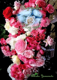 My garden, My rose_Pierre de Ronsard_2
