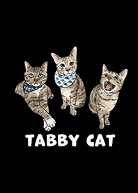 tabbycat2 / black