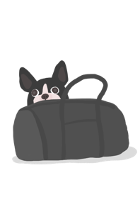 Boston terrier bag