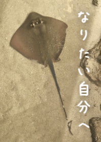 なりたい自分へS7