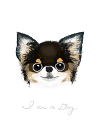 I am a dog -Chihuahua- :E