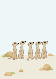 cute sneaky Meerkat3