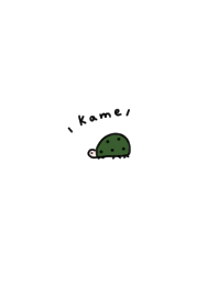 A simple accent: turtle.