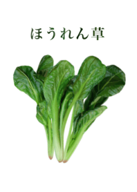 Domestic spinach 14