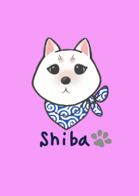 White Shiba Inu Illustration Theme