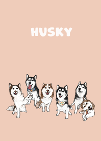 husky1 / peach