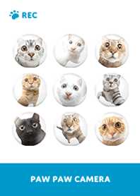 Paw Paw Camera -  Blue 02