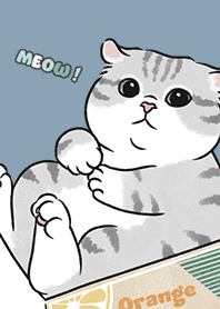 neko single15 - pale blue