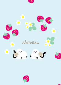 Long-tailed tit strawberry