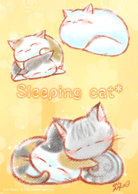 うたたねにゃんこ*