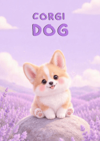 Cute Corgi Dog In Lavender