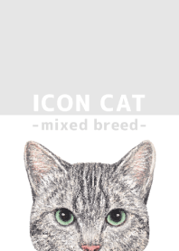ICON CAT - Mixed breed cat - GRAY/16