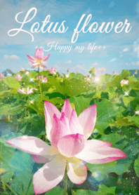 ++Lotus flower++