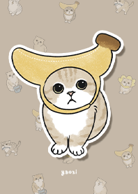 neko combo3 / dark tan