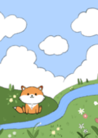 Little Fox :)
