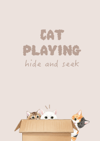 Cat hide and seek.5