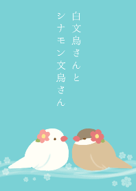 白文鳥さんとシナモン文鳥さん