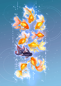 The Lucky Goldfish That Absorbs Bad Luck