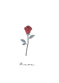 Rose / 白と赤