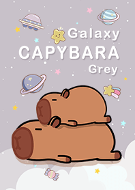 Capybara/vast starry sky/grey2