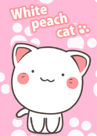gato branco pêssego