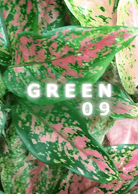 GREEN-緑09