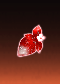 Lucky Strawberry Orange