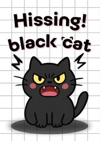 แมวดำขี้โมโห