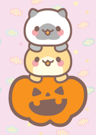 Cat Halloween2019