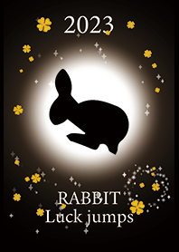 Black : 2023 a jump rabbit!