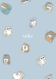 neko combo5 / blue