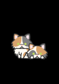 Short snout Cat*darkmode*long-haired*C