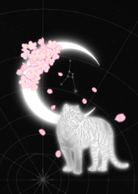 moon zodiac tiger Cancer JPN