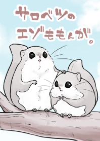 サロベツのえぞももんが