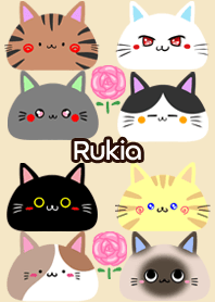 Rukia Scandinavian cute cat4