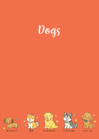 My beloved dog02 red & yellow